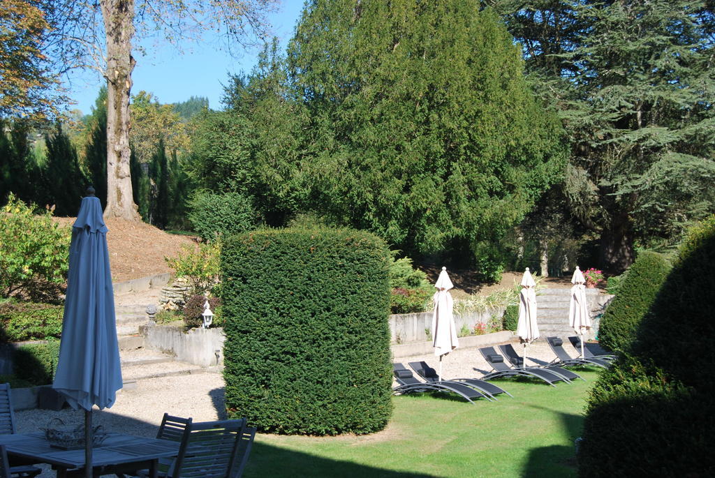 Chateau De Chantelauze Olliergues Εξωτερικό φωτογραφία